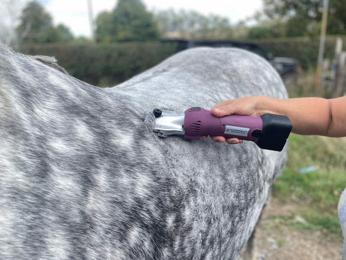 Clipping the back of a horse with the HD Roamer Horse Clipper