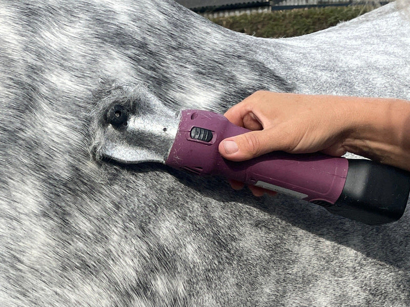Clipping the shoulders of the horse with the HD Roamer Horse clipper