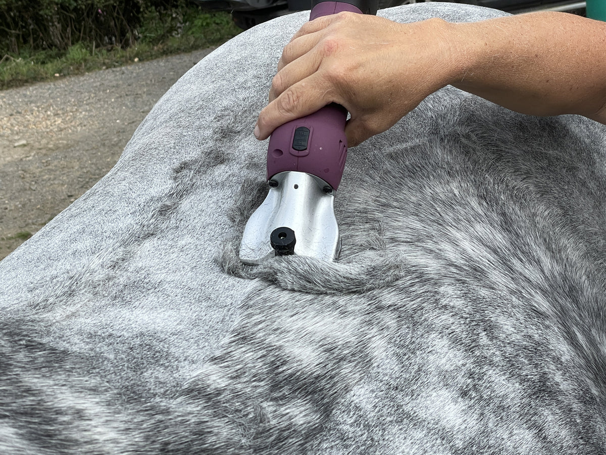 Horse clippers that survive