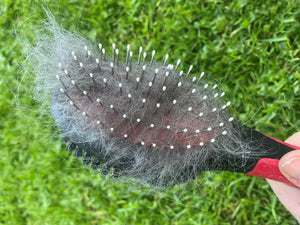 Double Sided Oval Head Long Pin & Bristle Slicker Brush
