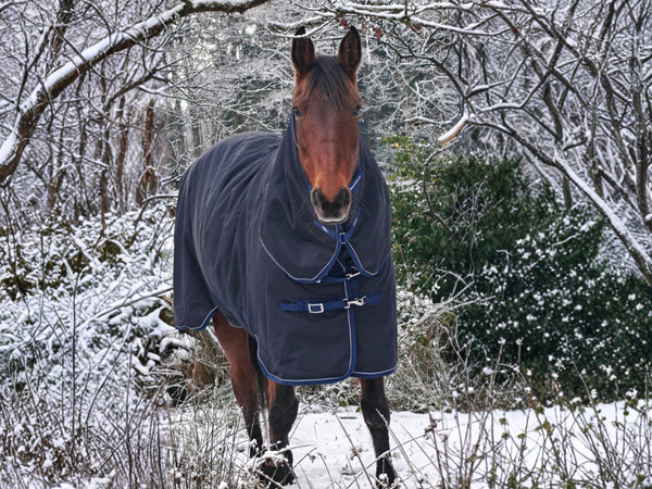 Masterclip 200G Turnout Rug  – Waterproof / Breathable / High Visibility
