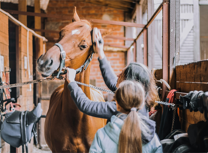 Masterclip is made for those who believe in doing things the right way