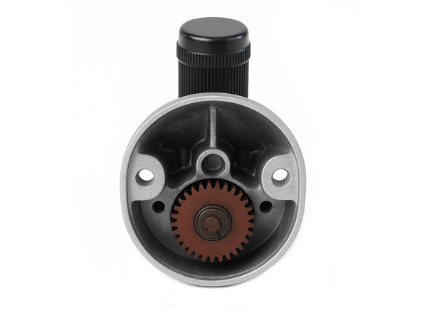 Ewe 2000 Sheep Head Only