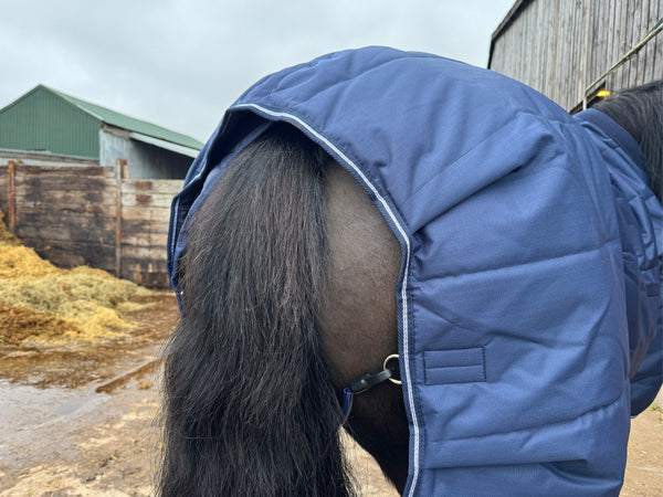 Masterclip 200G Stable Rug with Padded Neck – Cosy Winter Comfort