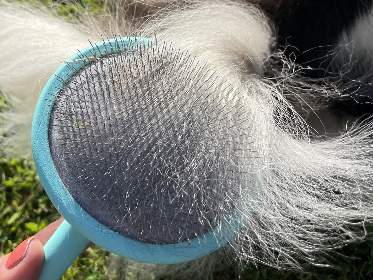Border Collie Super Slicker Brush with Flexi-Pins