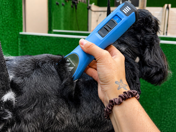Cordless MAX Dog Clipper with Number 10 Blade, 8 Metal Comb Guides & 2 Batteries- Premium All-Day Professional Cordless Clipper