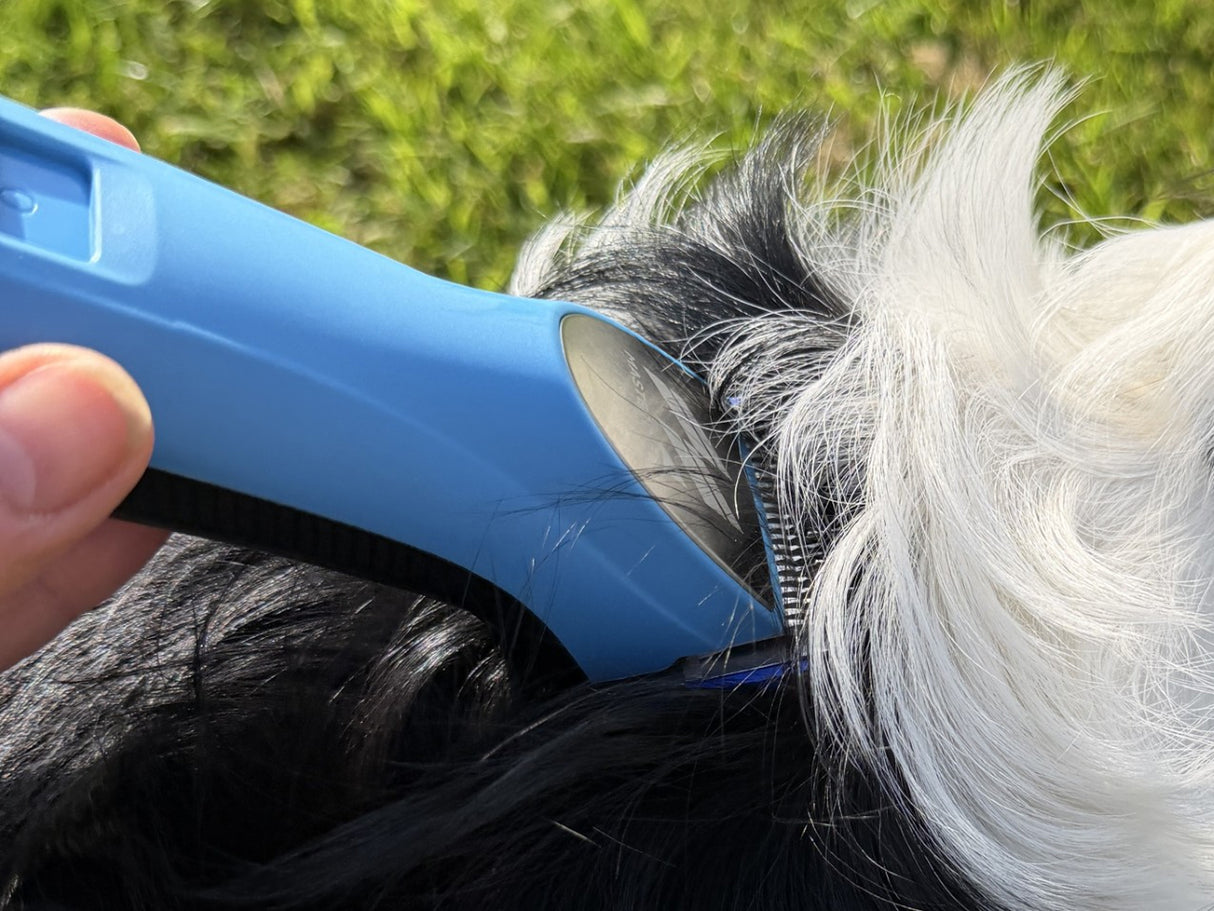 Basset Hound Clipper Set - Cordless Max