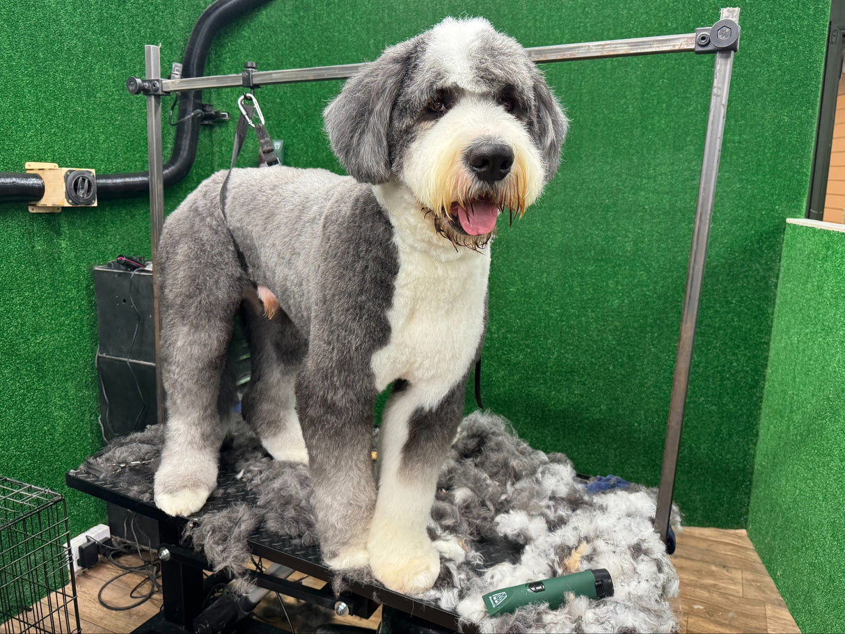 Old English Sheepdog Clipper Set - Cordless