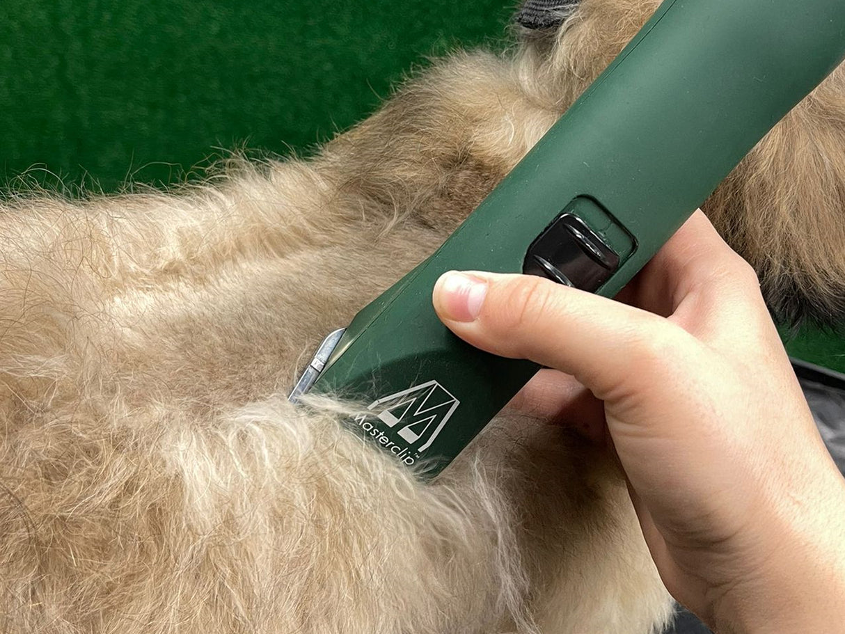 Wirehaired Pointing Griffon Clipper Set - Cordless