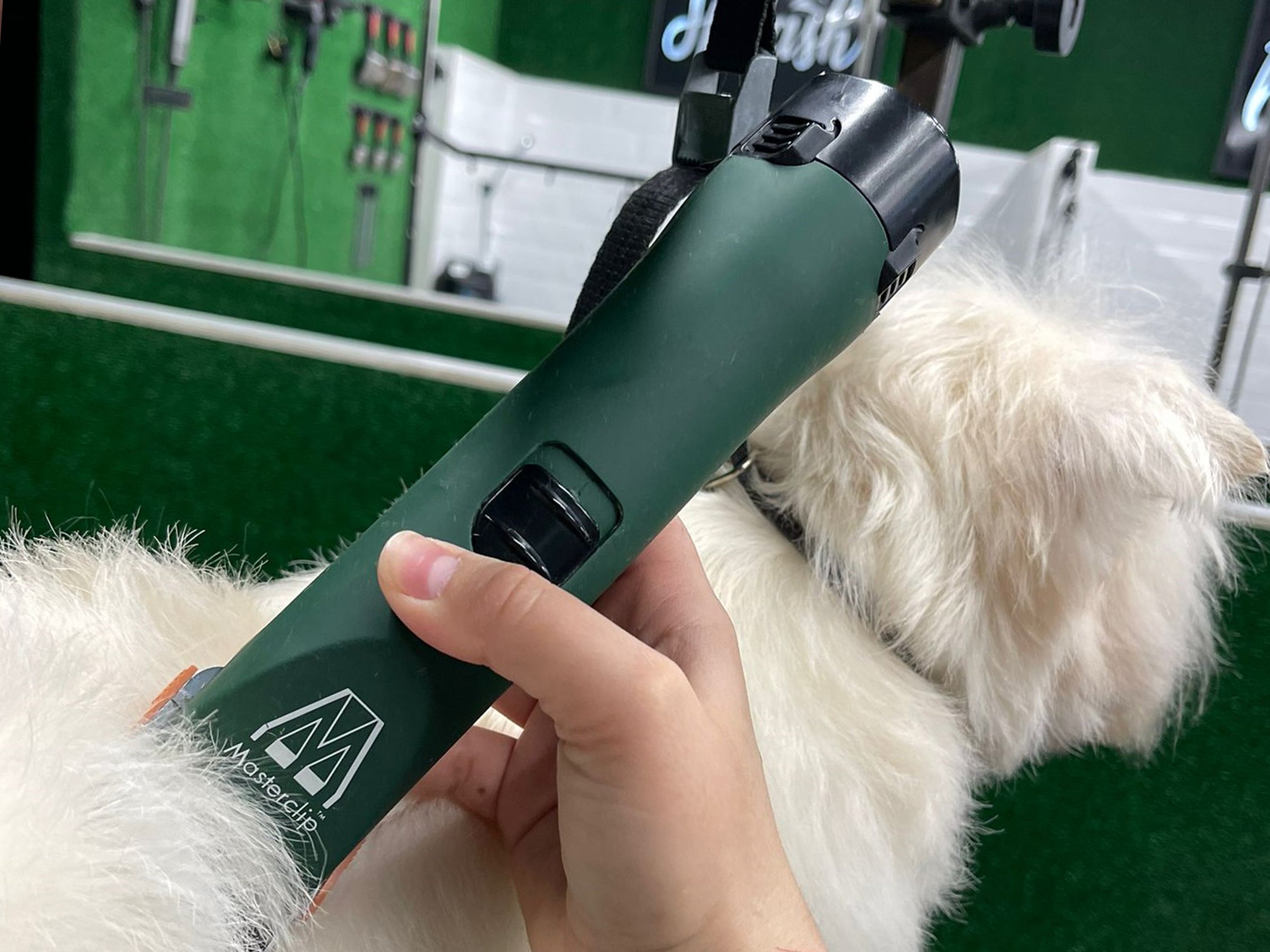 Best dog clippers for shih tzu uk hotsell