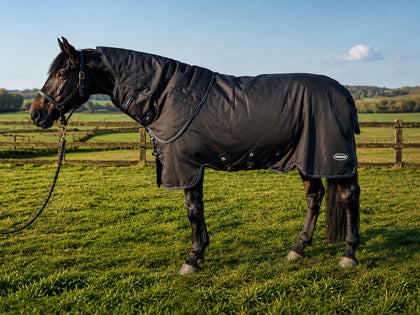 Masterclip 200G Springtime Transitional Turnout Rug - Waterproof  & Breathable