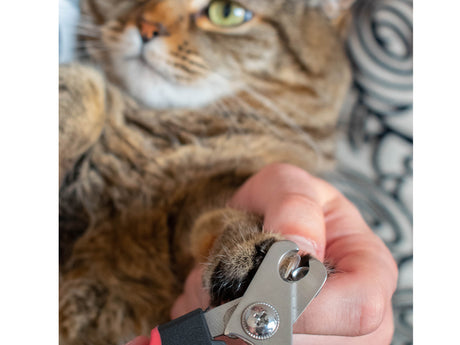 Nail Clippers for Small Pets (Cats, Rabbits)