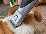 Basenji Dog Clipper Set - Mains