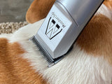 Beagle Dog Clipper Set - Mains