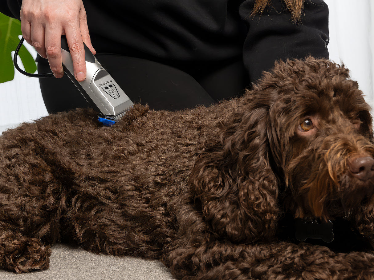 Ex-Demo Pedigree Pro Dog Clipper Set with 4 Comb Guides & 10 Blade