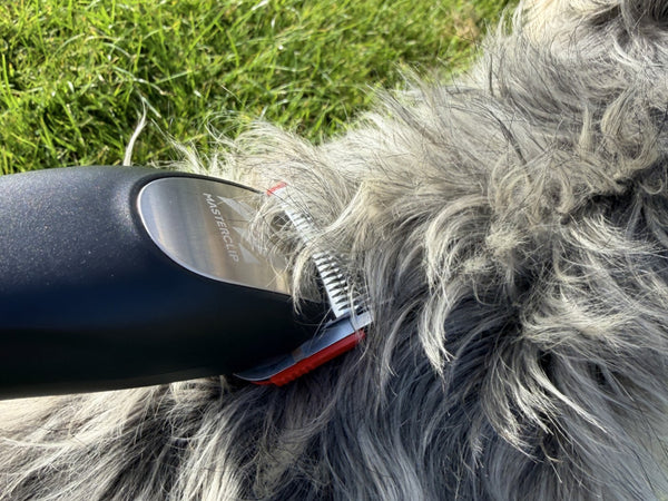Cordless PRO A5 Dog Clipper with Number 10 Blade - Powerful Everyday Professional Clipper