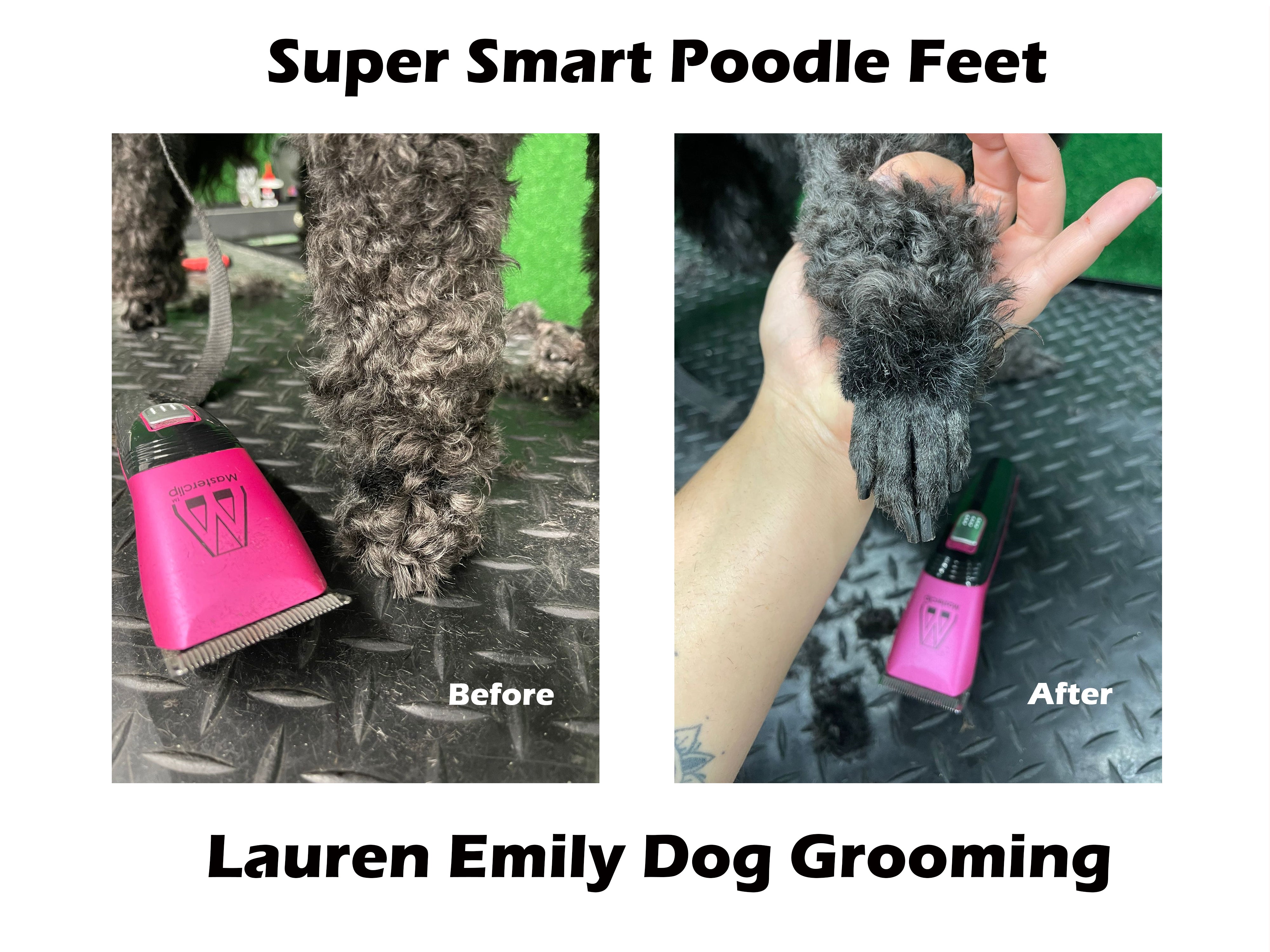 Best clippers for poodle feet sale