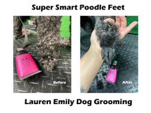 Load image into Gallery viewer, Professional | Blue Cordless Home Grooming Dog Clipper Set