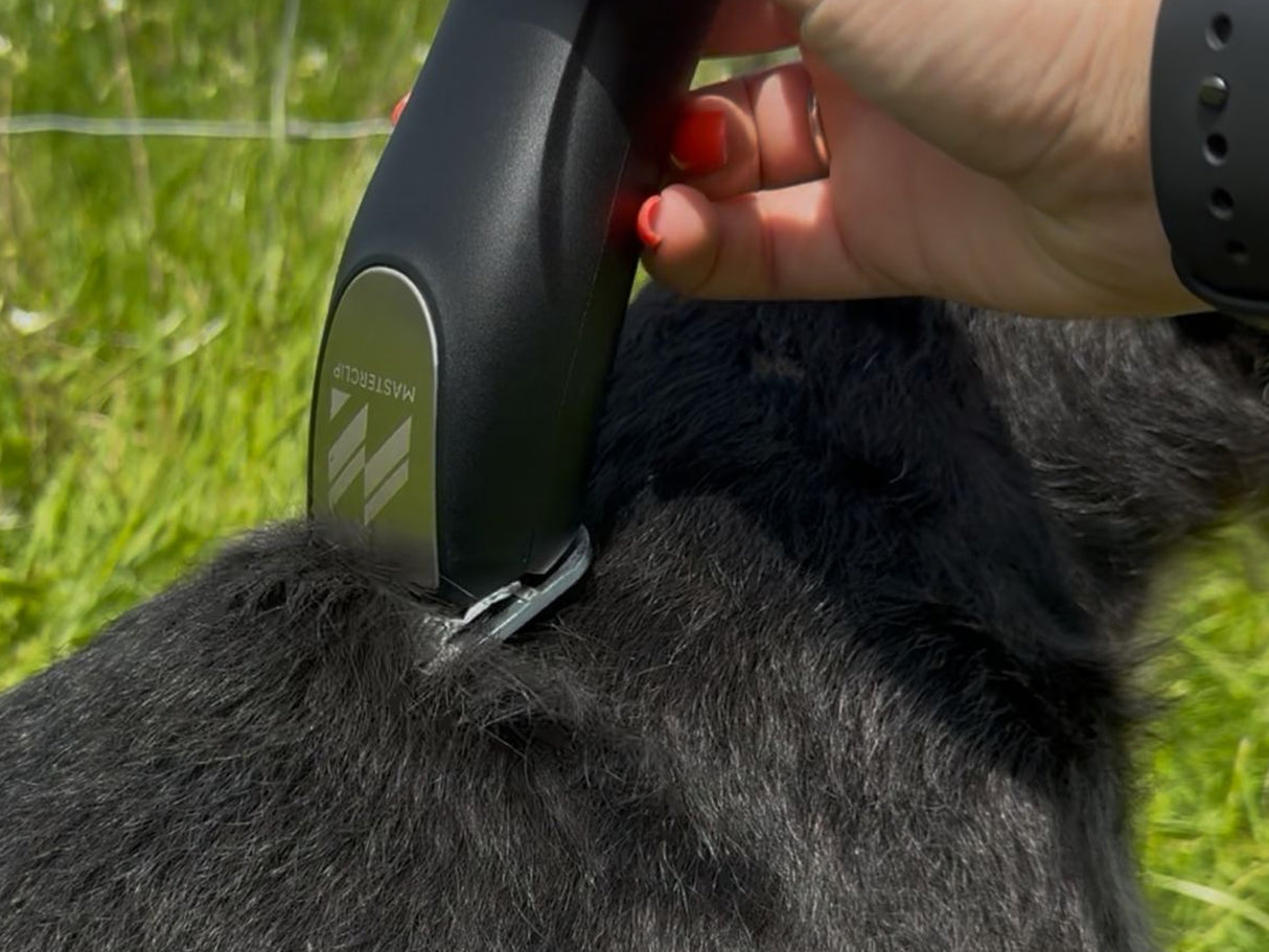 Shih Tzu Dog Clipper Set - Cordless PRO