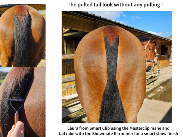 14 NARROW Blade Mane & Tail Rake