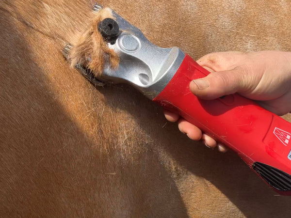 Ex-Demo Masterclip Hunter - Lightweight 200W Professional Horse Clipper RED