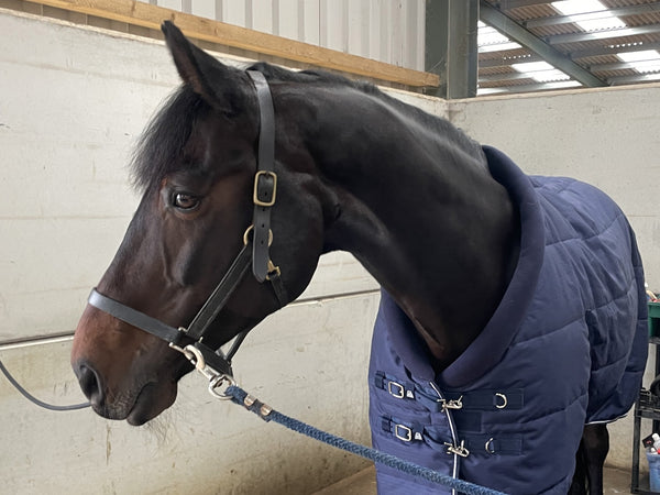 Masterclip 200G Stable Rug with Padded Neck – Cosy Winter Comfort