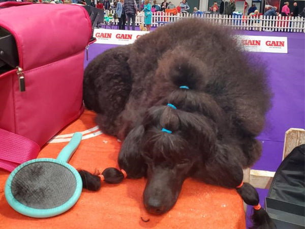 Super Slicker Brush with Flexi-Pins