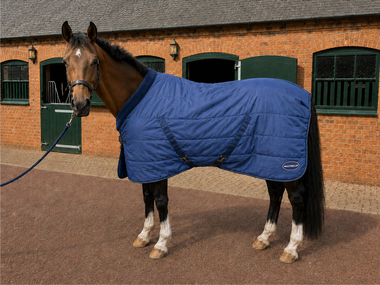 Masterclip 200G Stable Rug with Padded Neck – Cosy Winter Comfort