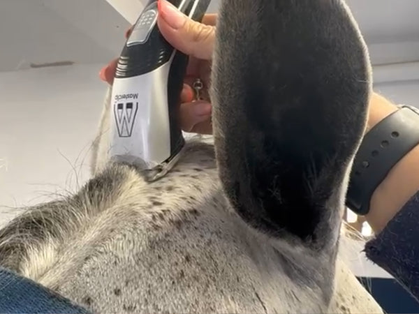 Ex-Demo Showmate II Cordless Horse Trimmer - Silver