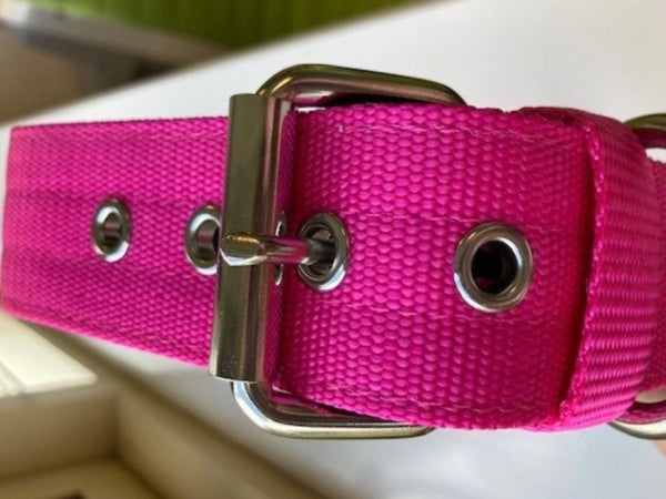 Warehouse Clearance - Sample Padded Dog Collar in Bright Pink 25 inch LARGE