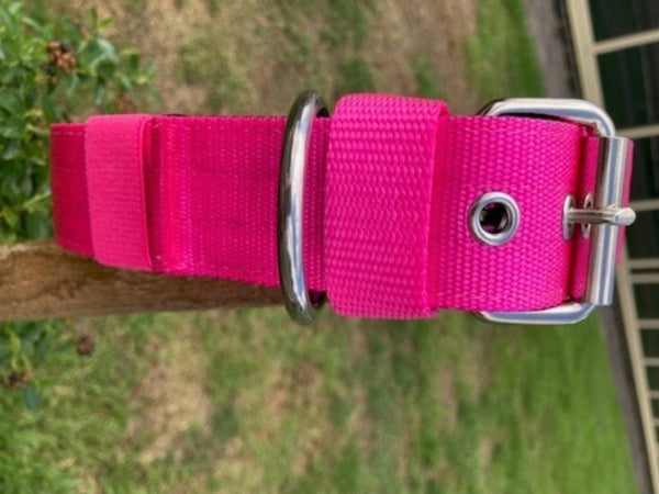 Warehouse Clearance - Sample Padded Dog Collar in Bright Pink 25 inch LARGE