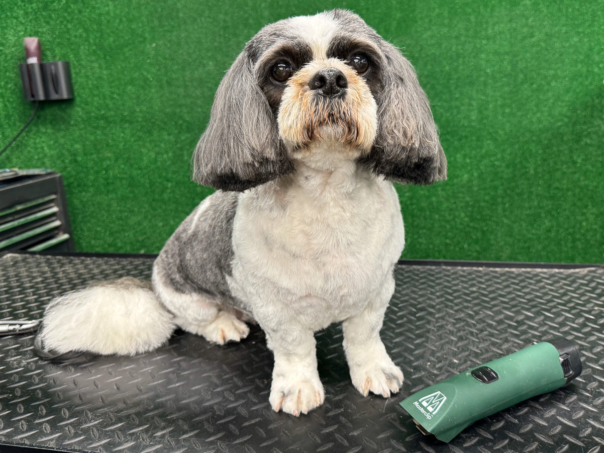 Shih Tzu Dog Clipper Set - Cordless