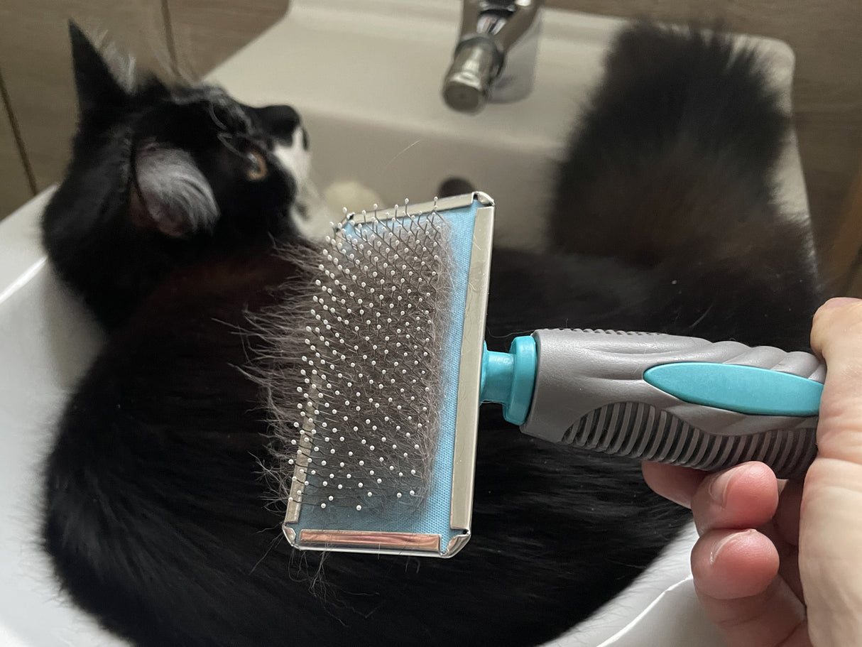 Small Flat Head Rectangular Slicker Brush