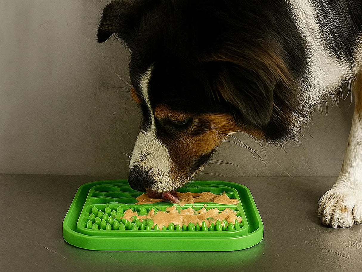 Small Anxiety Reducing Slow Feeding Lick Mat - Green