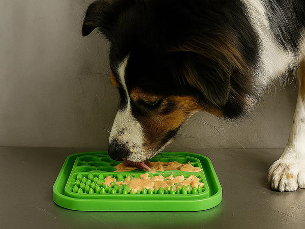 Small Anxiety Reducing Slow Feeding Lick Mat - Green