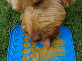 Small Anxiety Reducing Slow Feeding Lick Mat - Blue