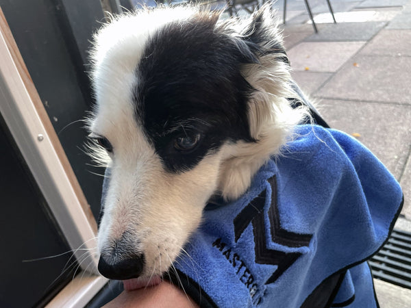 Microfibre Cloth - Small