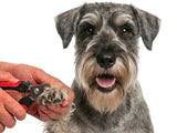 Standard Schnauzer Nail Clippers | LARGE