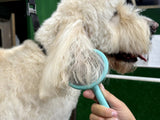 Masterclip super slicker brush combing through a  dogs ear - action photo
