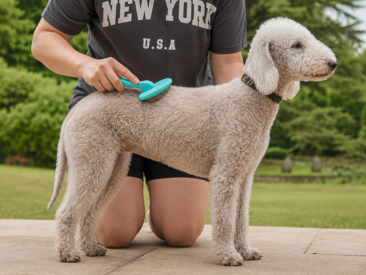Bedlington Terrier Super Slicker Brush with Flexi-Pins