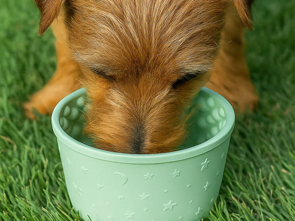 Anxiety Reducing Slow Feeding Lick Bowl - Small