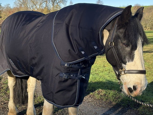 Masterclip 100G Springtime Transitional Turnout Rug - Waterproof  & Breathable