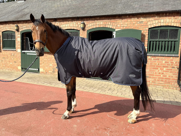 Masterclip 100G Springtime Transitional Turnout Rug - Waterproof  & Breathable
