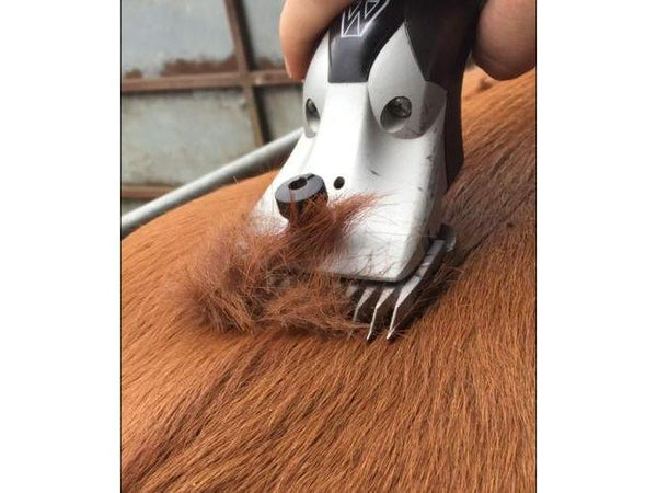 A2 Lister Compatible Livestock Blade-Masterclip