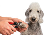 Bedlington Terrier Nail Clippers | SMALL