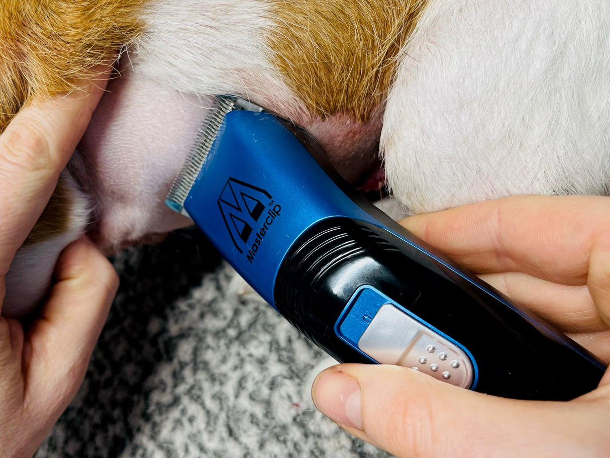 Blue Cordless Veterinary Showmate II Trimmer - Masterclip
