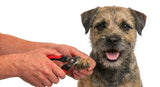 Border Terrier Nail Clippers | LARGE