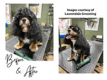Load image into Gallery viewer, Cavalier King Charles Spaniel Clipper Set - Cordless - Masterclip