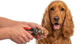 Cocker Spaniel Nail Clippers | LARGE