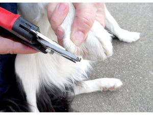 Large Nail Clippers-Masterclip
